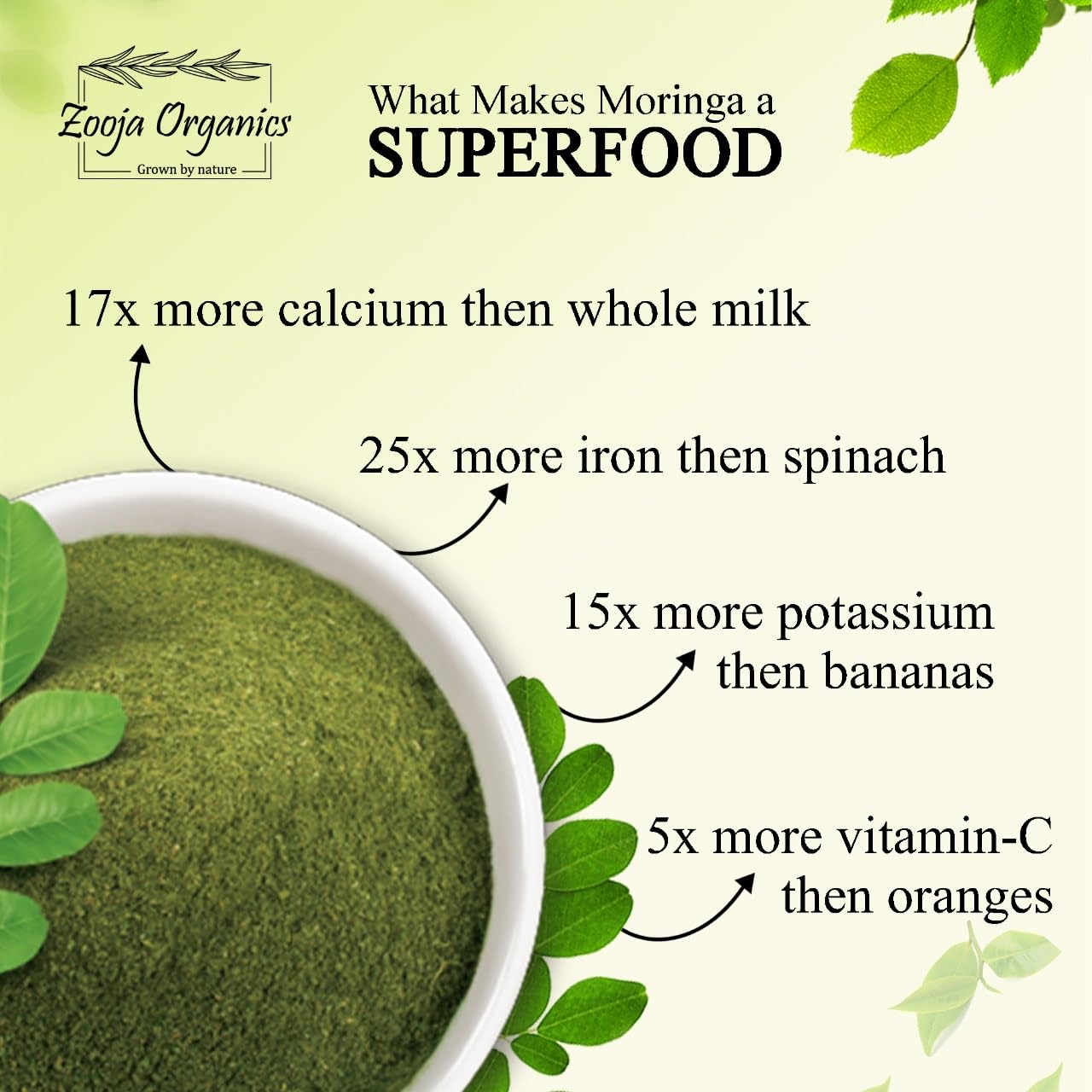 Zooja Organics Moringa Powder | 100% Pure & Natural Herbal Supplement | Rich in Vitamins, Minerals & Amino Acids | 300g
