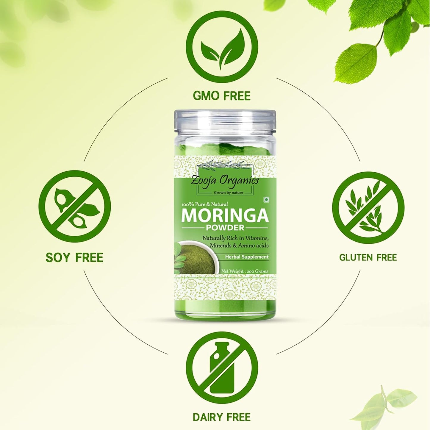 Zooja Organics Moringa Powder | 100% Pure & Natural Herbal Supplement | Rich in Vitamins, Minerals & Amino Acids | 300g