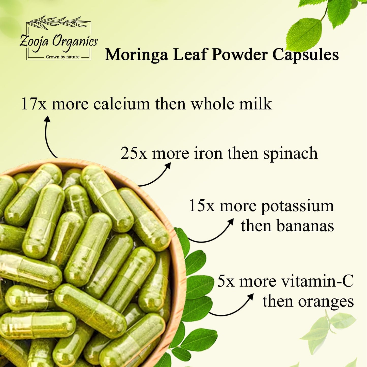 Zooja Organics Moringa Leaf Powder Capsules | 100% Pure & Natural | Rich in Vitamins, Minerals, Antioxidants & Amino Acids | Herbal Supplement – 60 Veg Capsules
